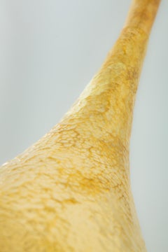 Ducha "Cono" de Andrew de Freitas