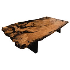Conference Table / Dining Table Unique 180 — One-Piece Giant Root with Amber