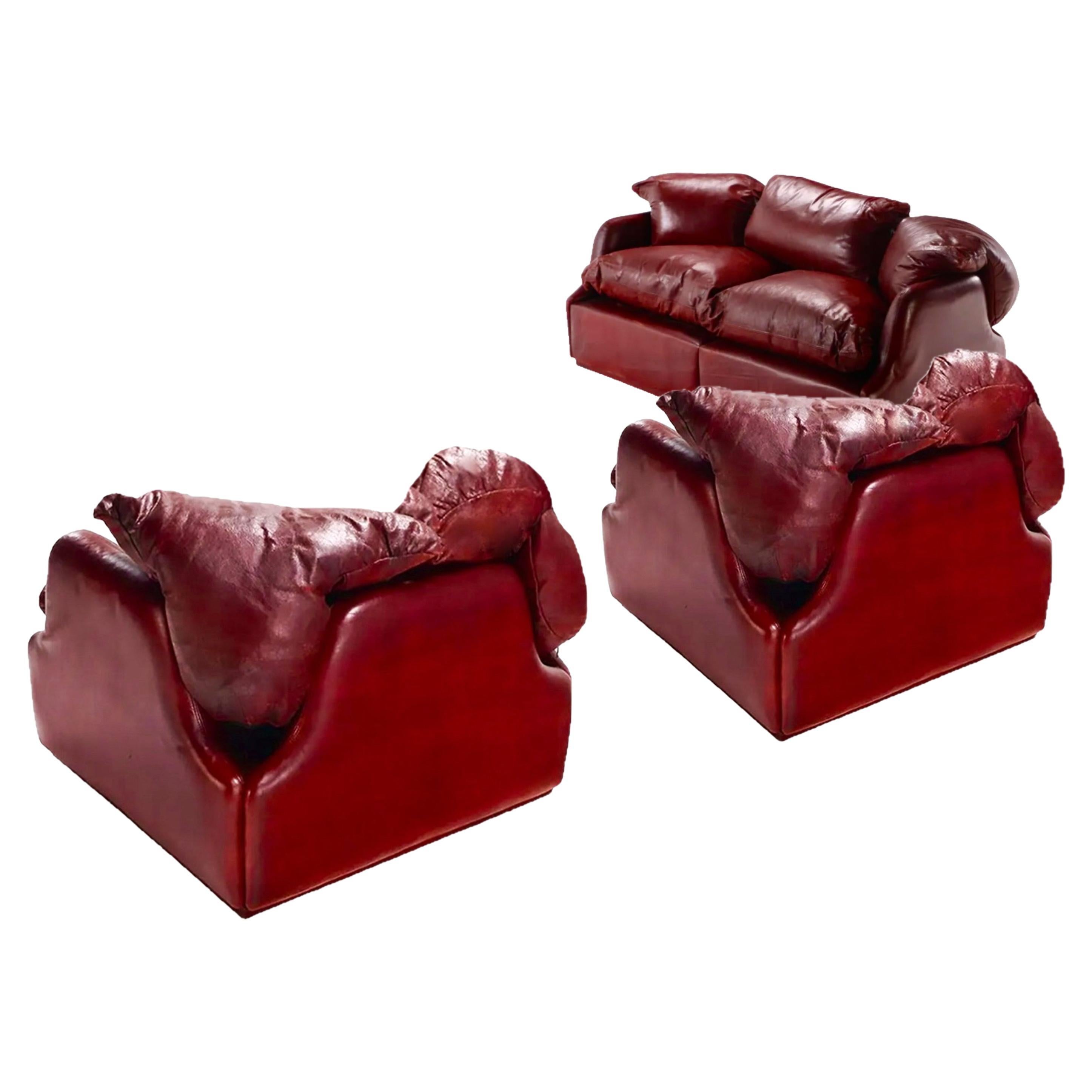 Confidential Living Room Set Cordovan Leather, Alberto Rosselli, Saporiti, Italy