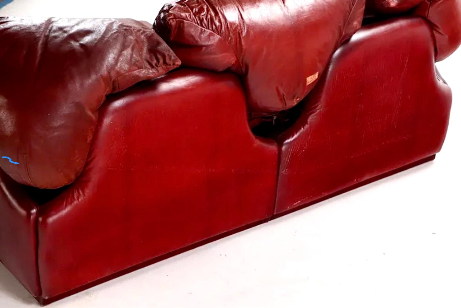 Italian Confidential Loveseat Sofa, Cordovan Leather, Alberto Rosselli, Saporiti, Italy For Sale