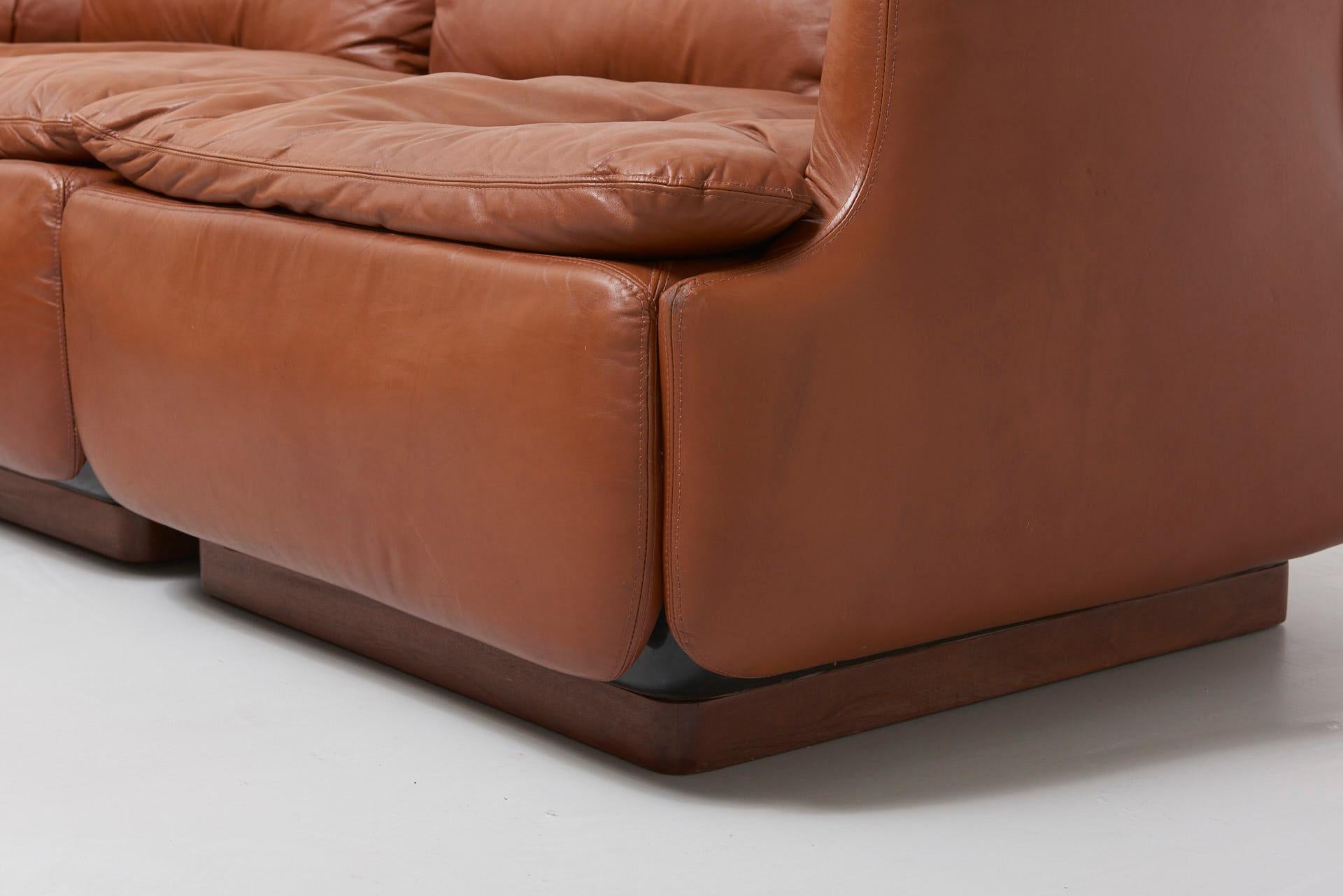 Leather Confidential Sofa by Alberto Rosselli for Saporiti, 1970s