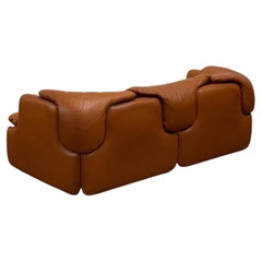 Confidential Sofa Designed by Alberto Rosselli for Saporiti