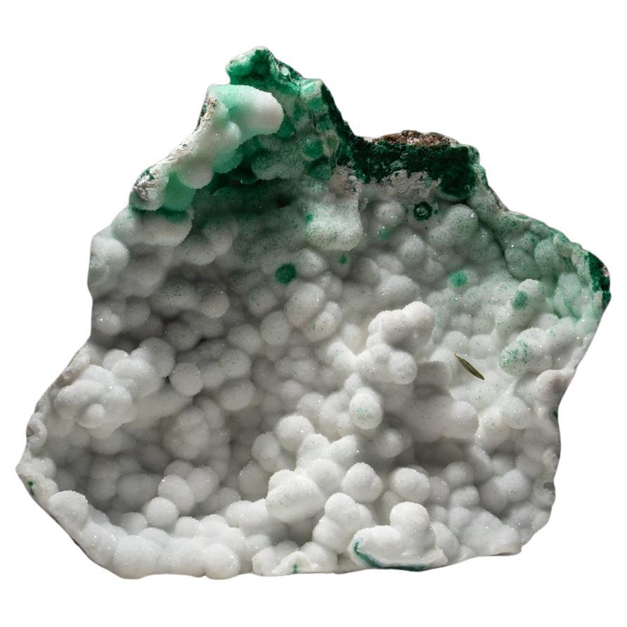 Conichalcite with Quartz from Namibia For Sale