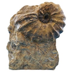 Natural Specimens