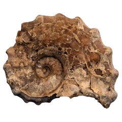 Objets décoratifs