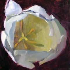 Tulip 19