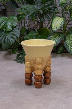 Cono M Yellow Brown
