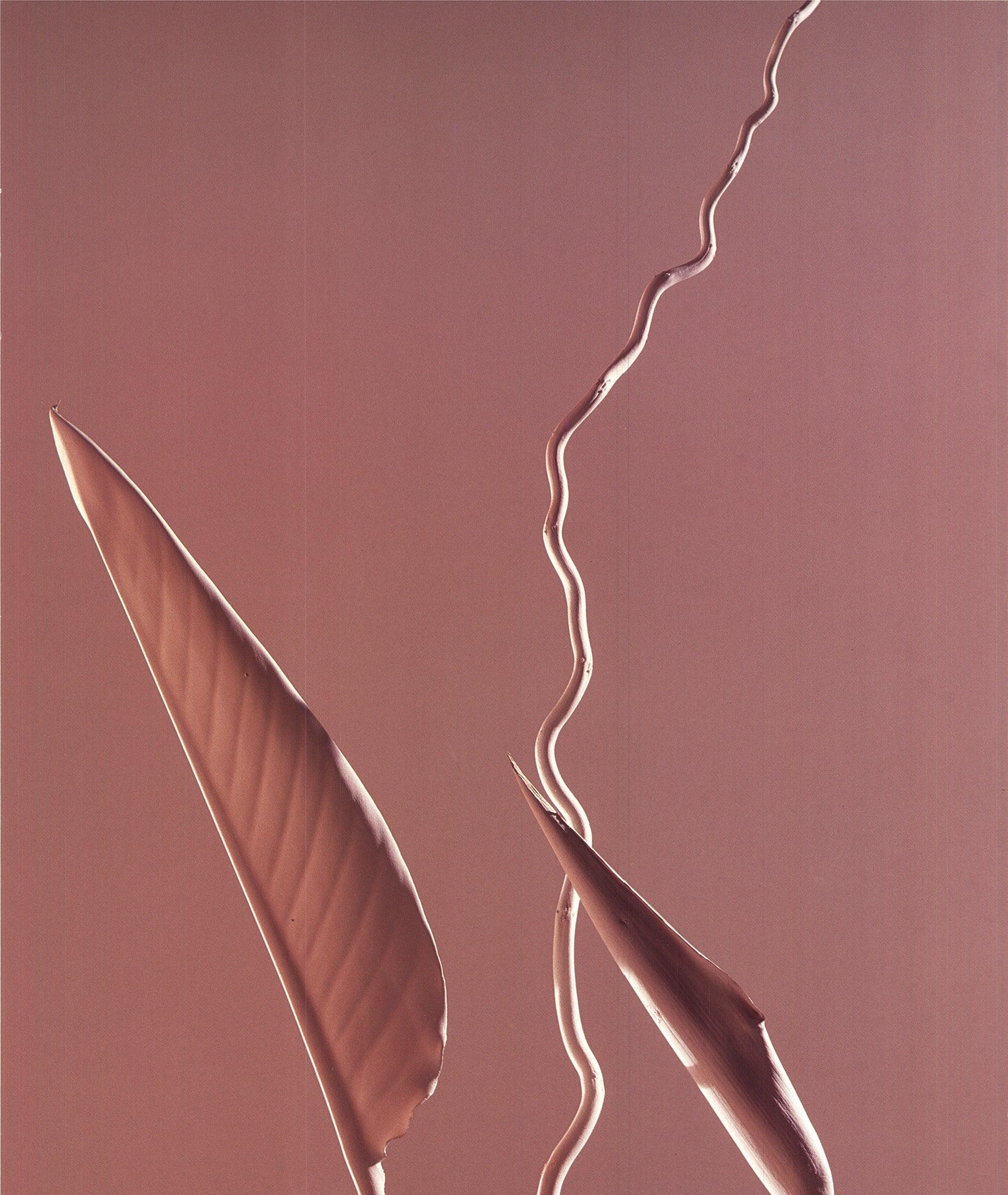 Sculpture I - Blanc Interior Print par Conrad Johnson