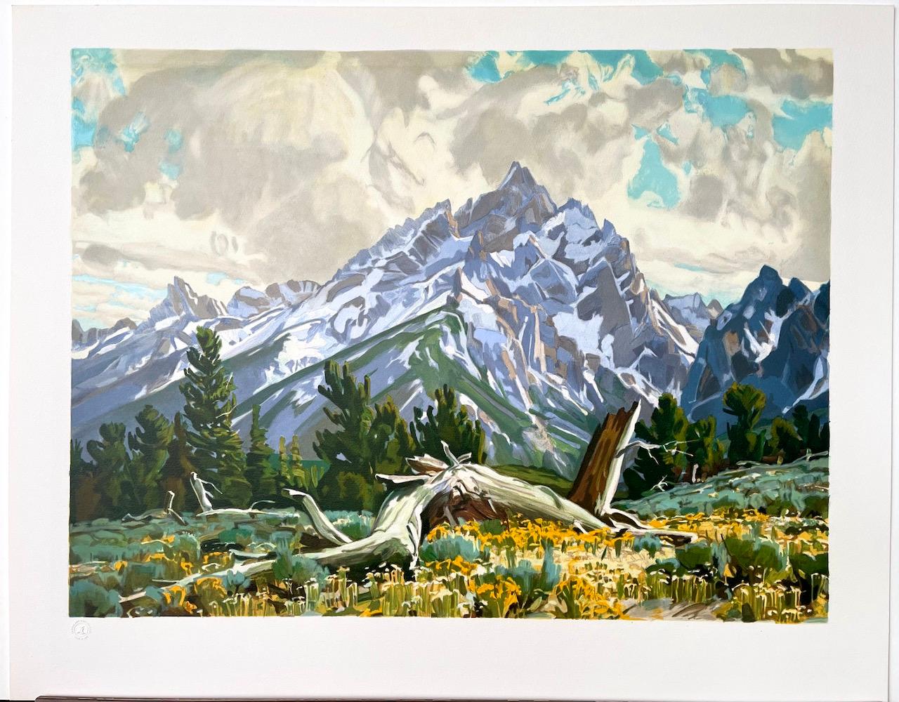 TAPIZ DE PRIMAVERA Litografía dibujada a mano Paisaje montañoso de Grand Tetons Wyoming en venta 1