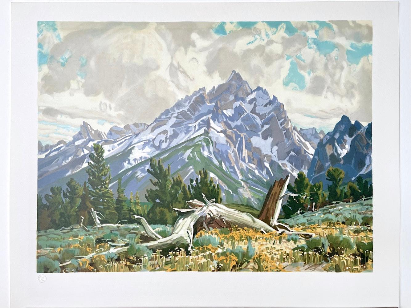 TAPIZ DE PRIMAVERA Litografía dibujada a mano Paisaje montañoso de Grand Tetons Wyoming en venta 4