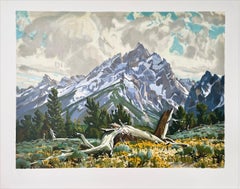 TAPIZ DE PRIMAVERA Litografía dibujada a mano Paisaje montañoso de Grand Tetons Wyoming