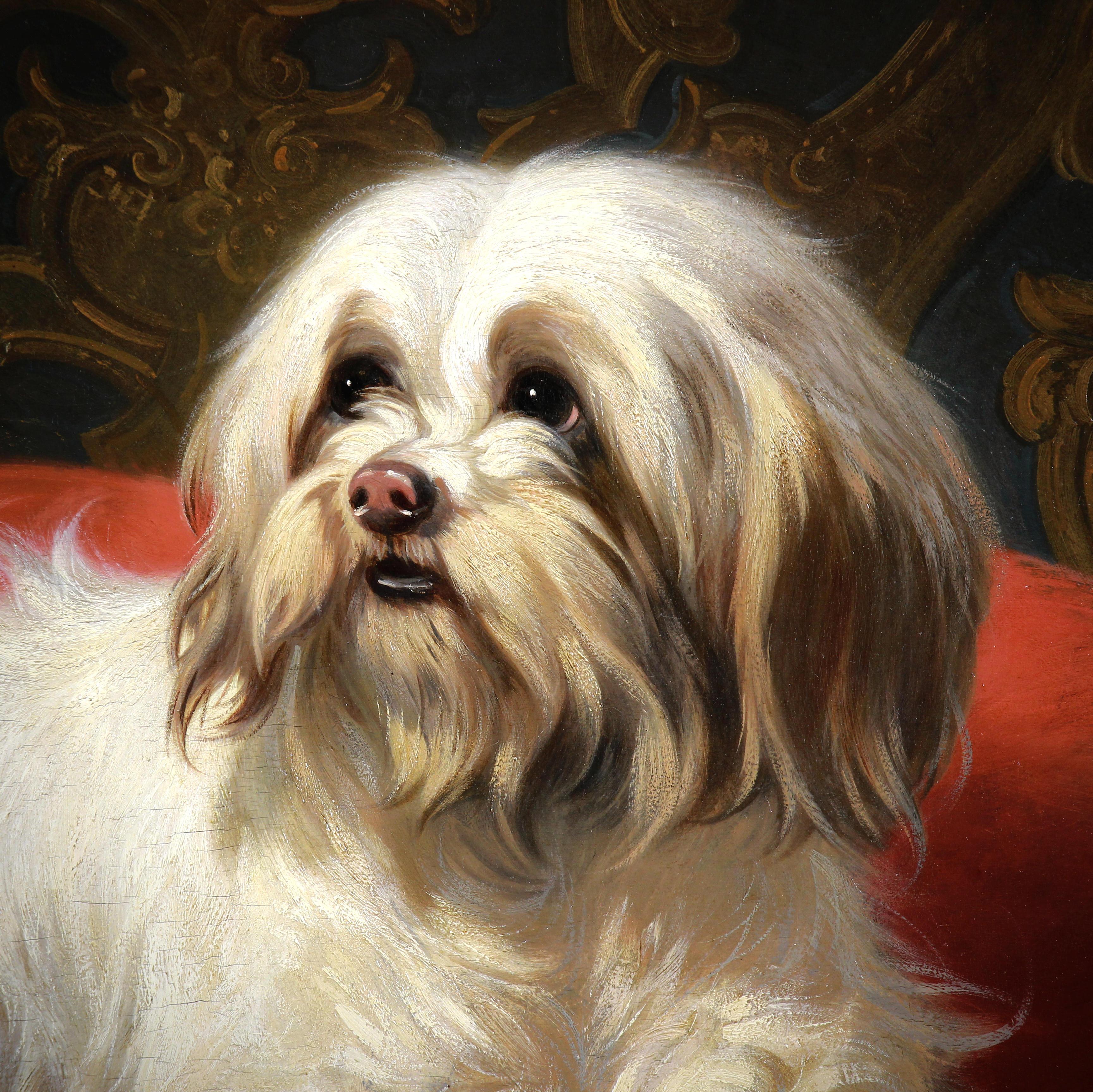 Huile sur panneau, portrait d'un chien maltais par Conradijn Cunaeus 19ème - École flamande Painting par Conradijn Cunaueus