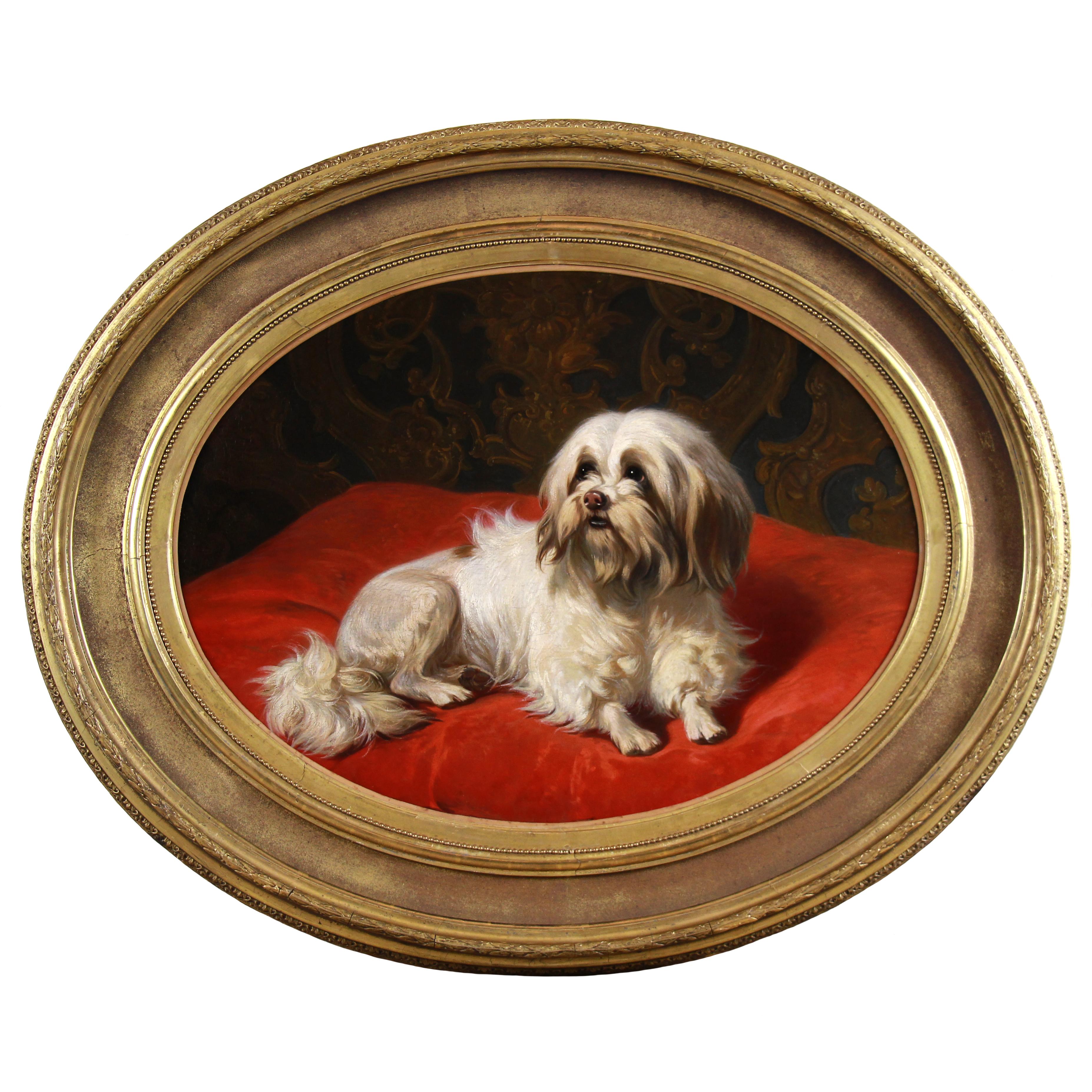 Ölgemälde auf Tafel, Porträt eines maltesischen Hundes von Conradijn Cunaeus, 19. Jahrhundert