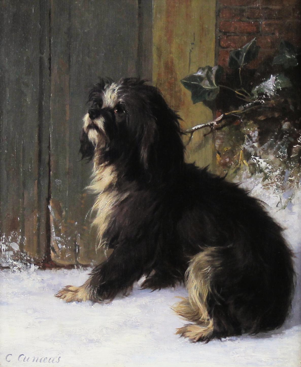 Oil On Panel, Portrait Of A Terrier Dog By Conradijn Cunaeus 19th - Painting by Conradijn Cunaueus