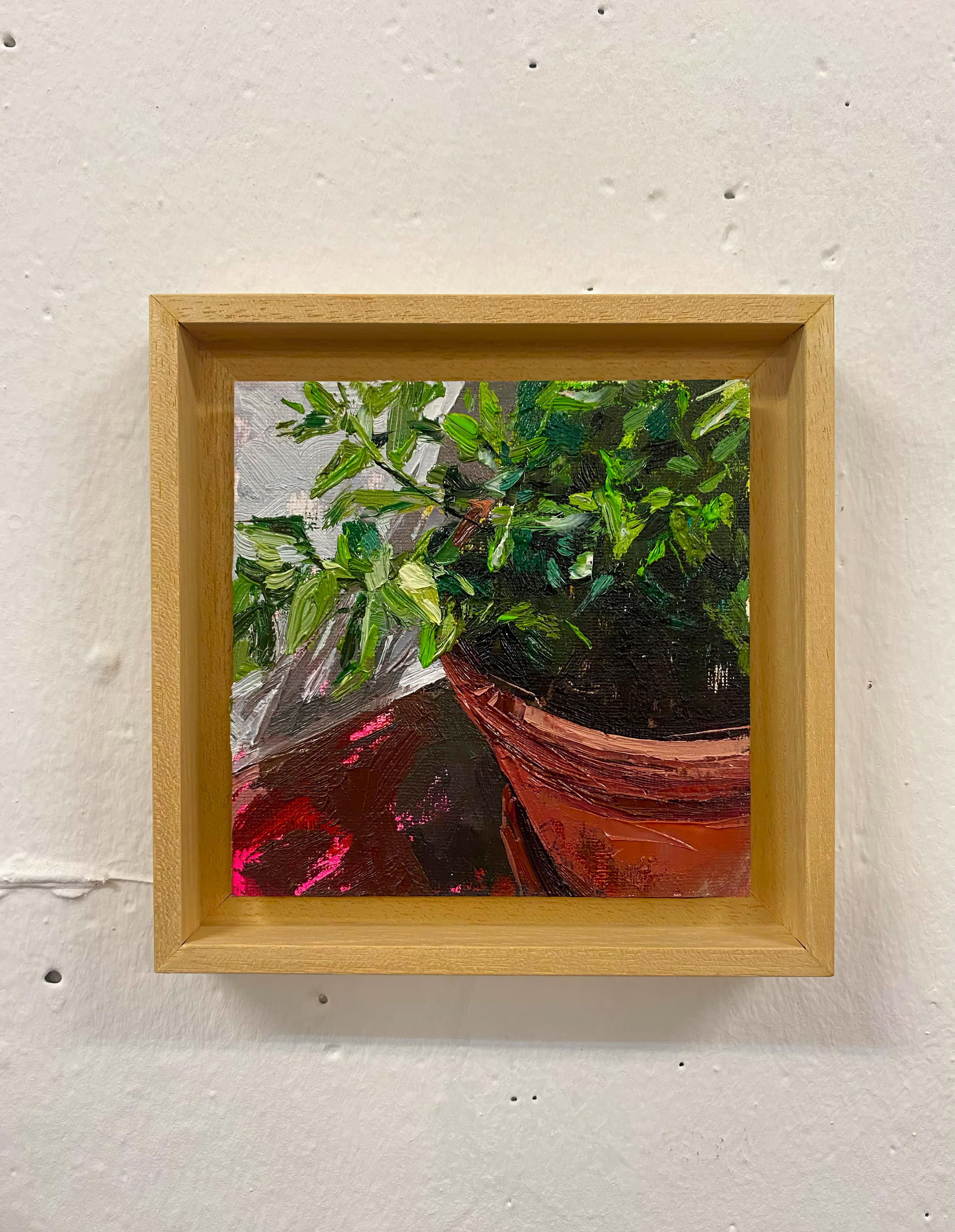 „Pot Plants 2“, Originales Öl- und Acrylgemälde – Painting von Conrado López
