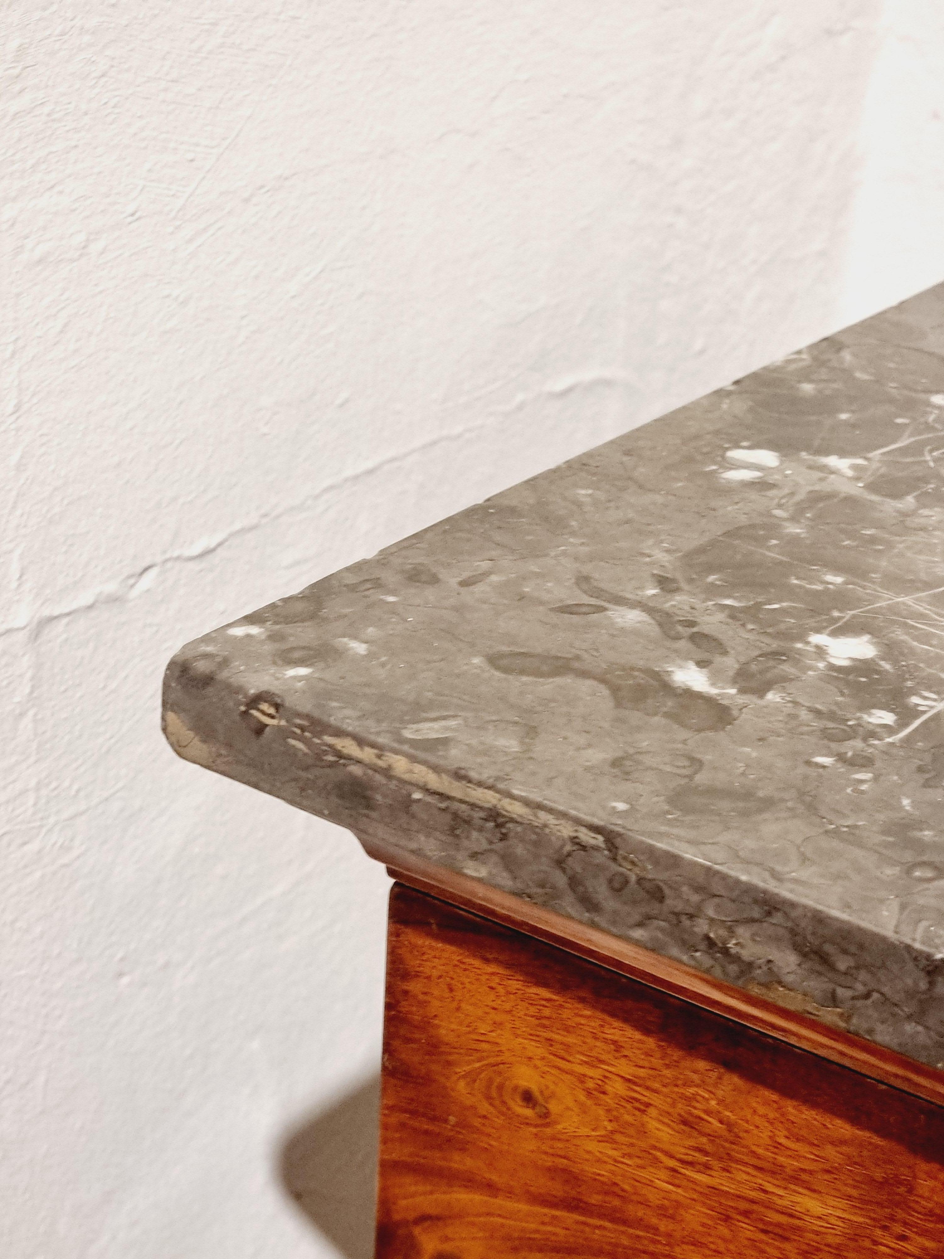 Console table, Empire / 19th Century, grey St. Anne marble top and lion paws For Sale 4
