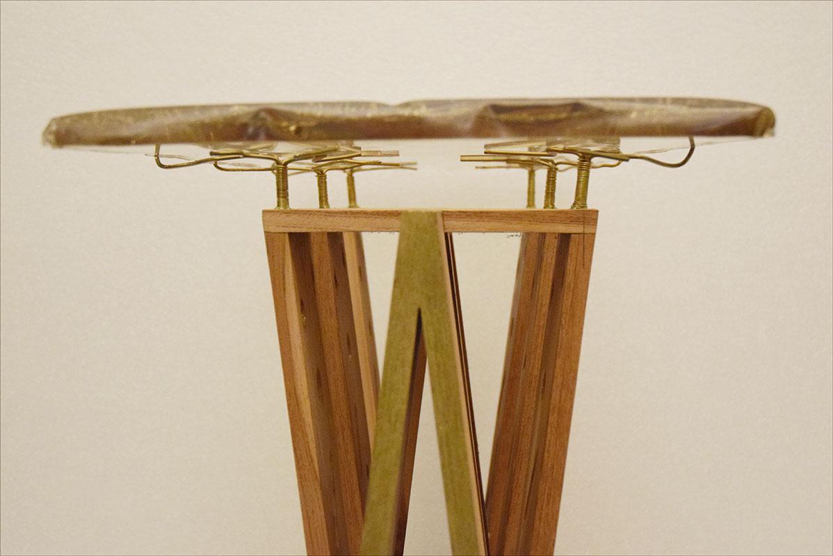 Brass Console Table in Exotic Wood with Resin Top, 1990s For Sale