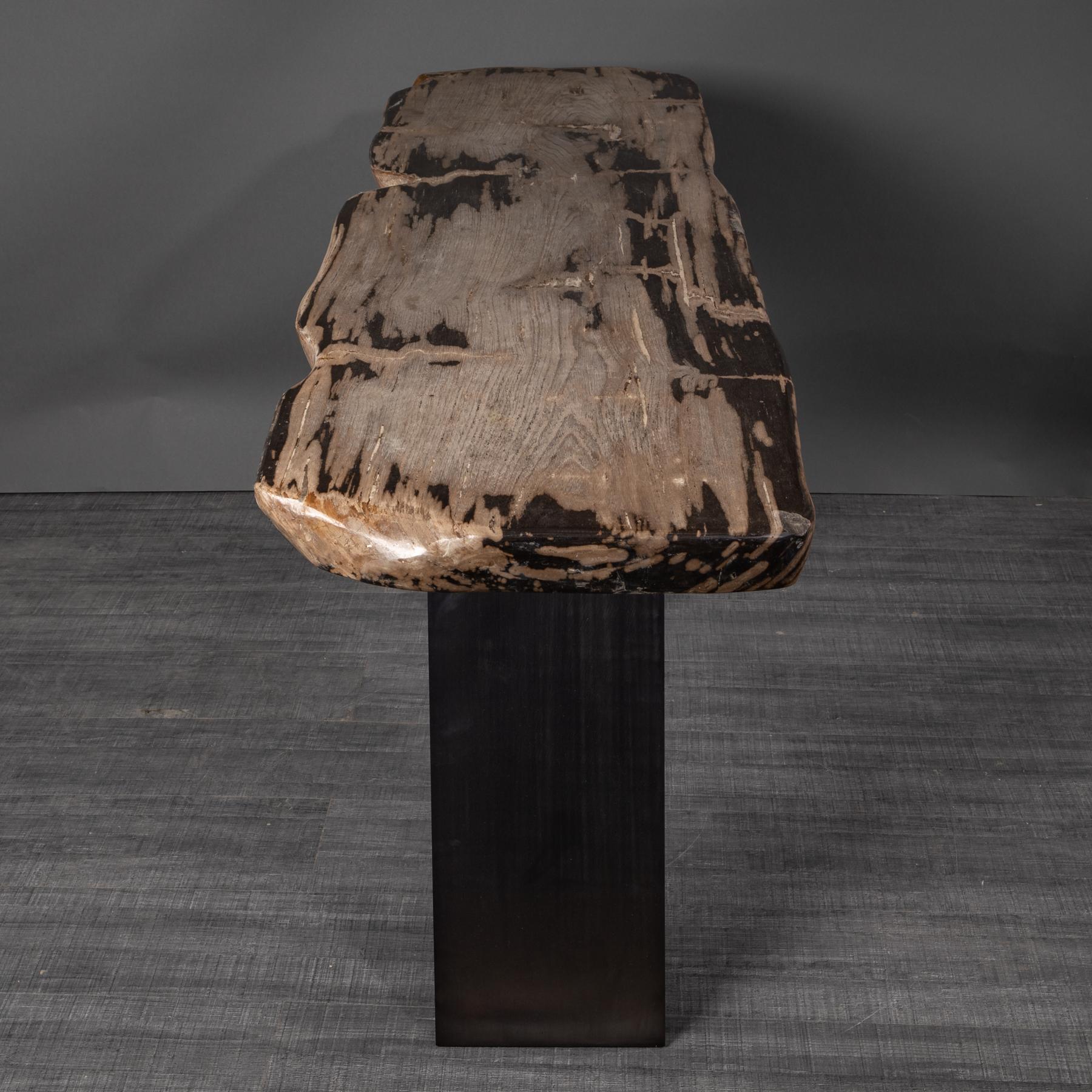 Console Table, Natural Organic Shape, Petrified Wood with Metal Base 3