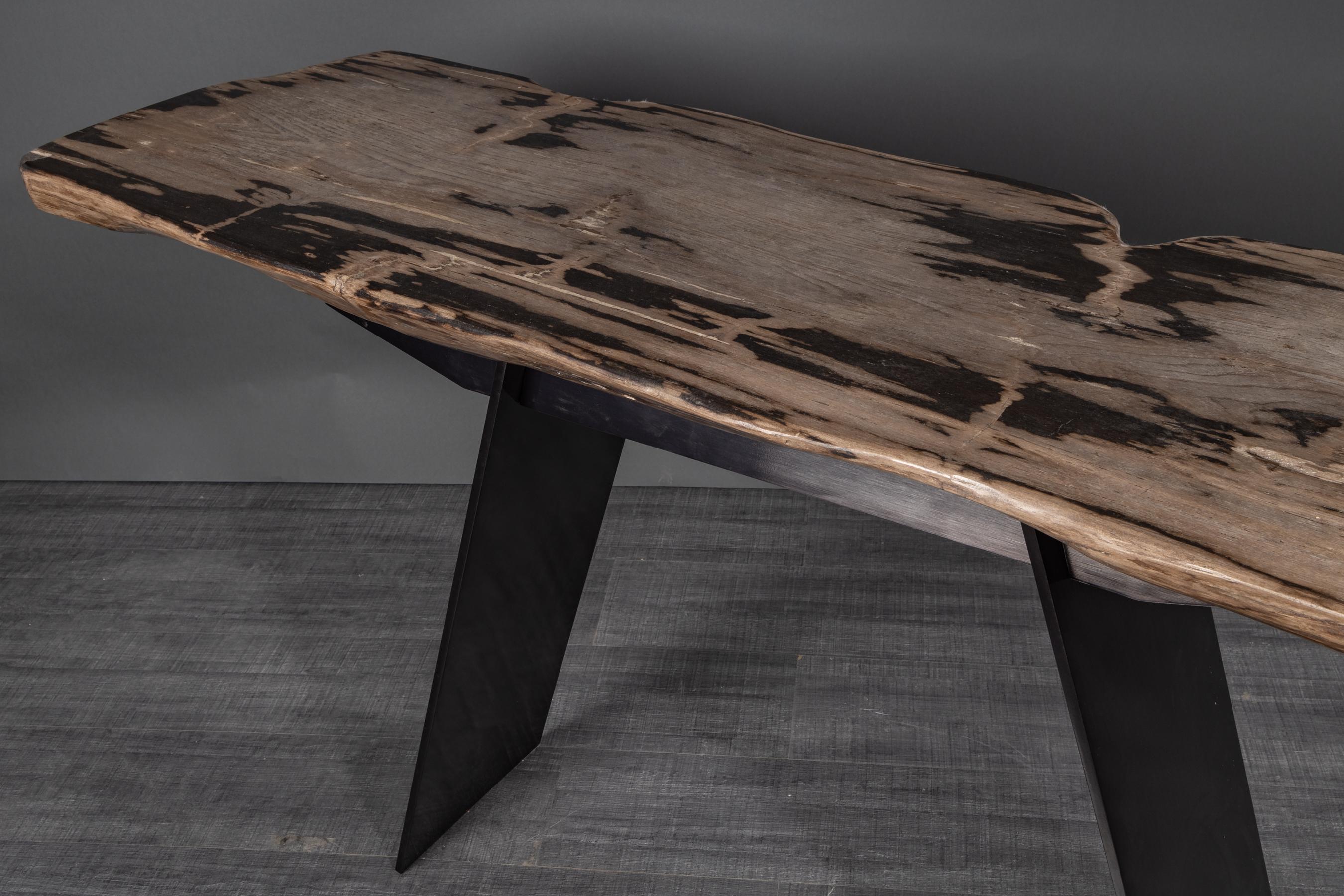 Organic Modern Console Table, Natural Organic Shape, Petrified Wood with Metal Base