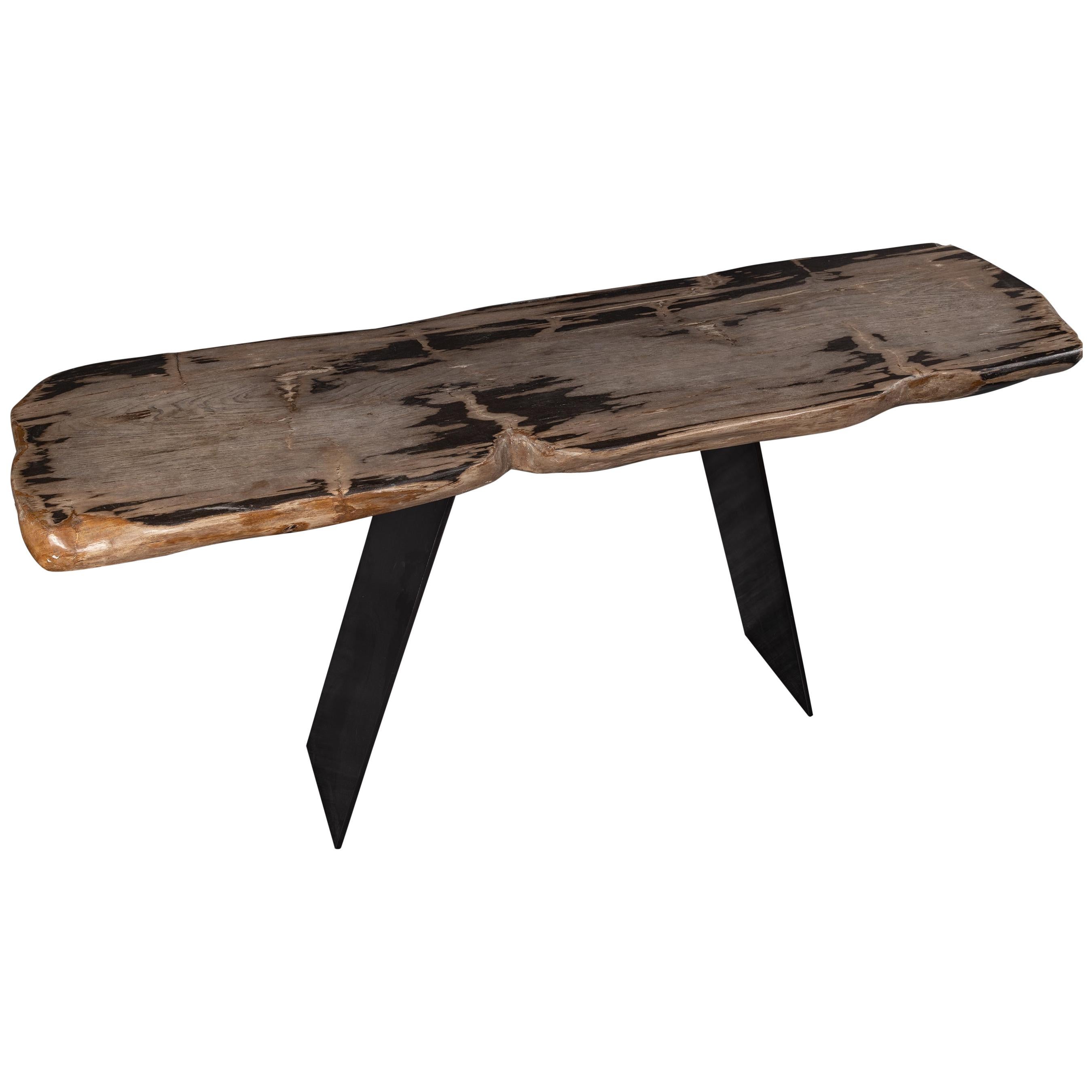 Console Table, Natural Organic Shape, Petrified Wood with Metal Base