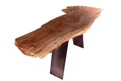 Console Table, Petrified Wood with Metal Base