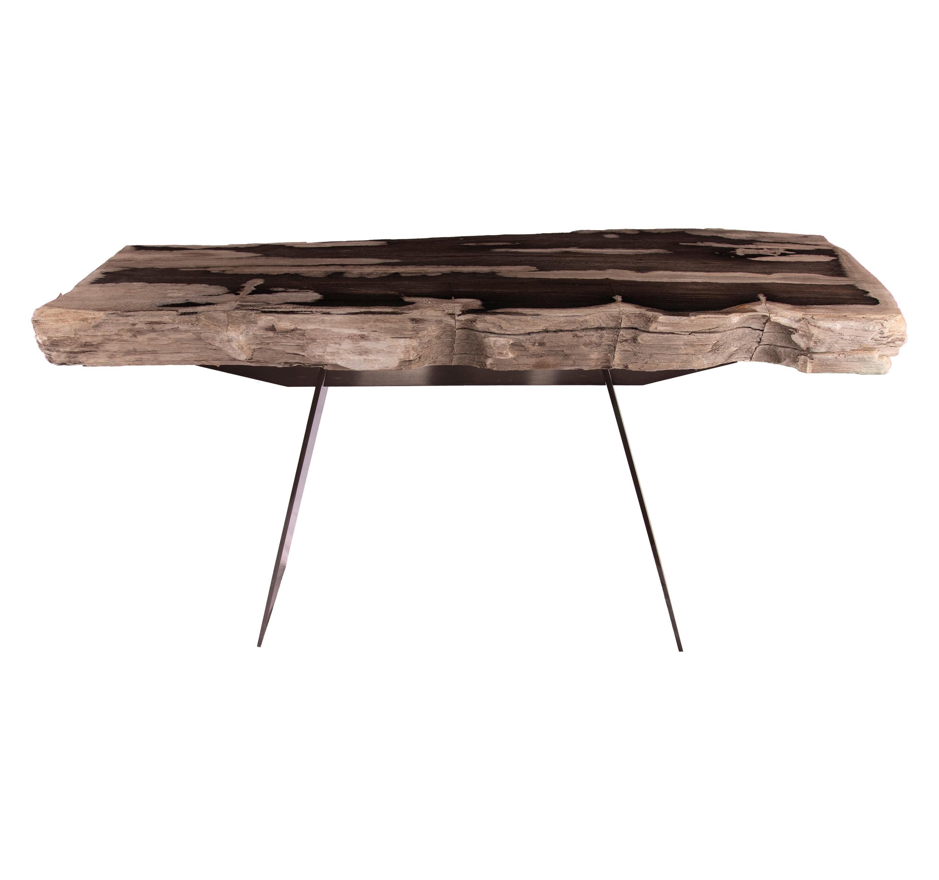 Mexican Console Table, Petrified Wood with Metal Base