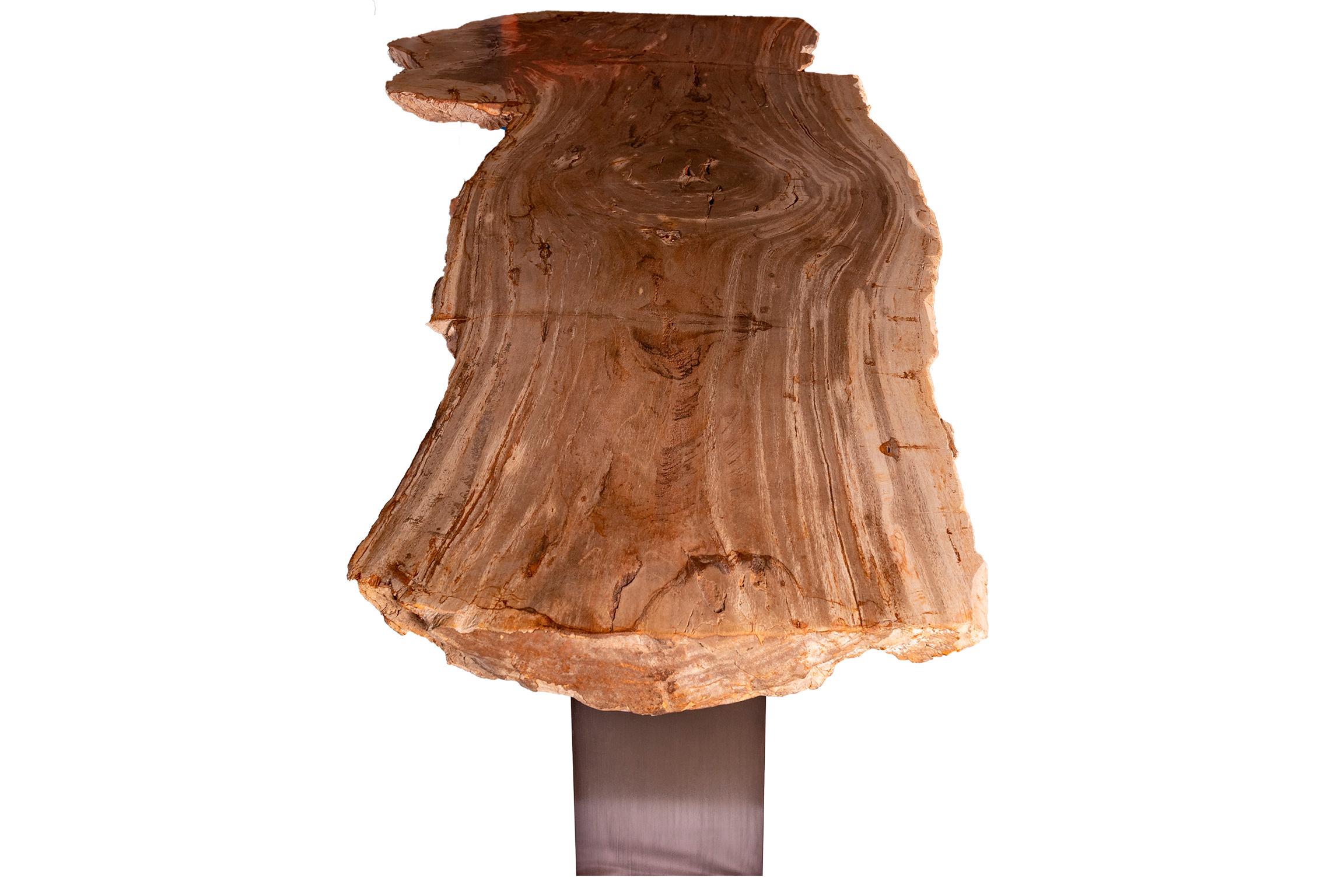 Organic Modern Console Table, Petrified Wood with Metal Base For Sale