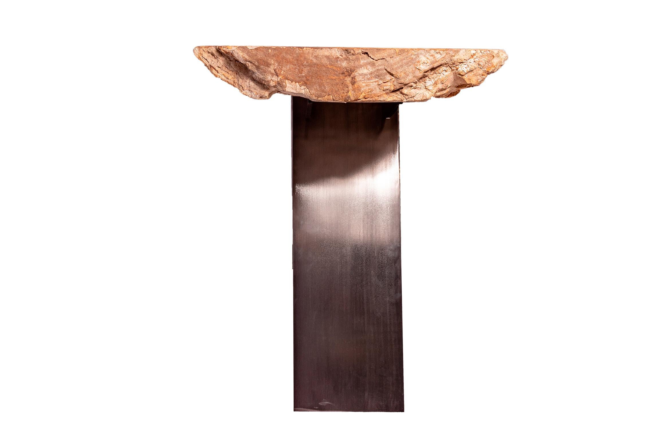 Polished Console Table, Petrified Wood with Metal Base For Sale