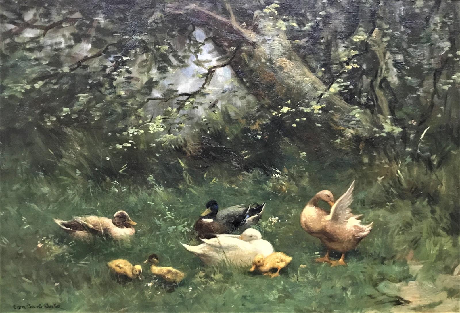 Ducks Oil Painting on Canvas, Signed, 20th Century, 16x24 Inches