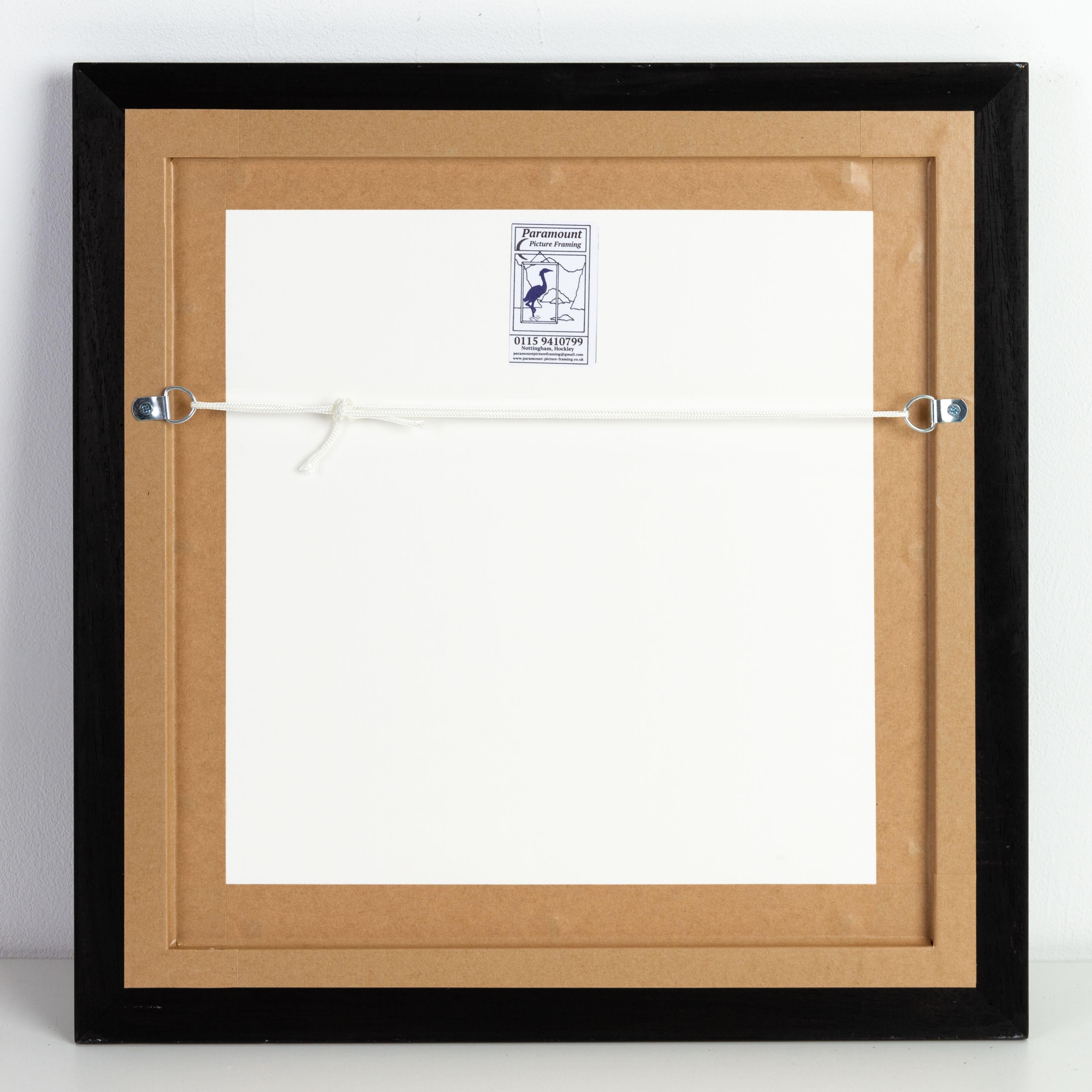 Costellazioni Mappe incise disegnate da W. Newton, pubblicate da Baldwin & Grado in vendita 10