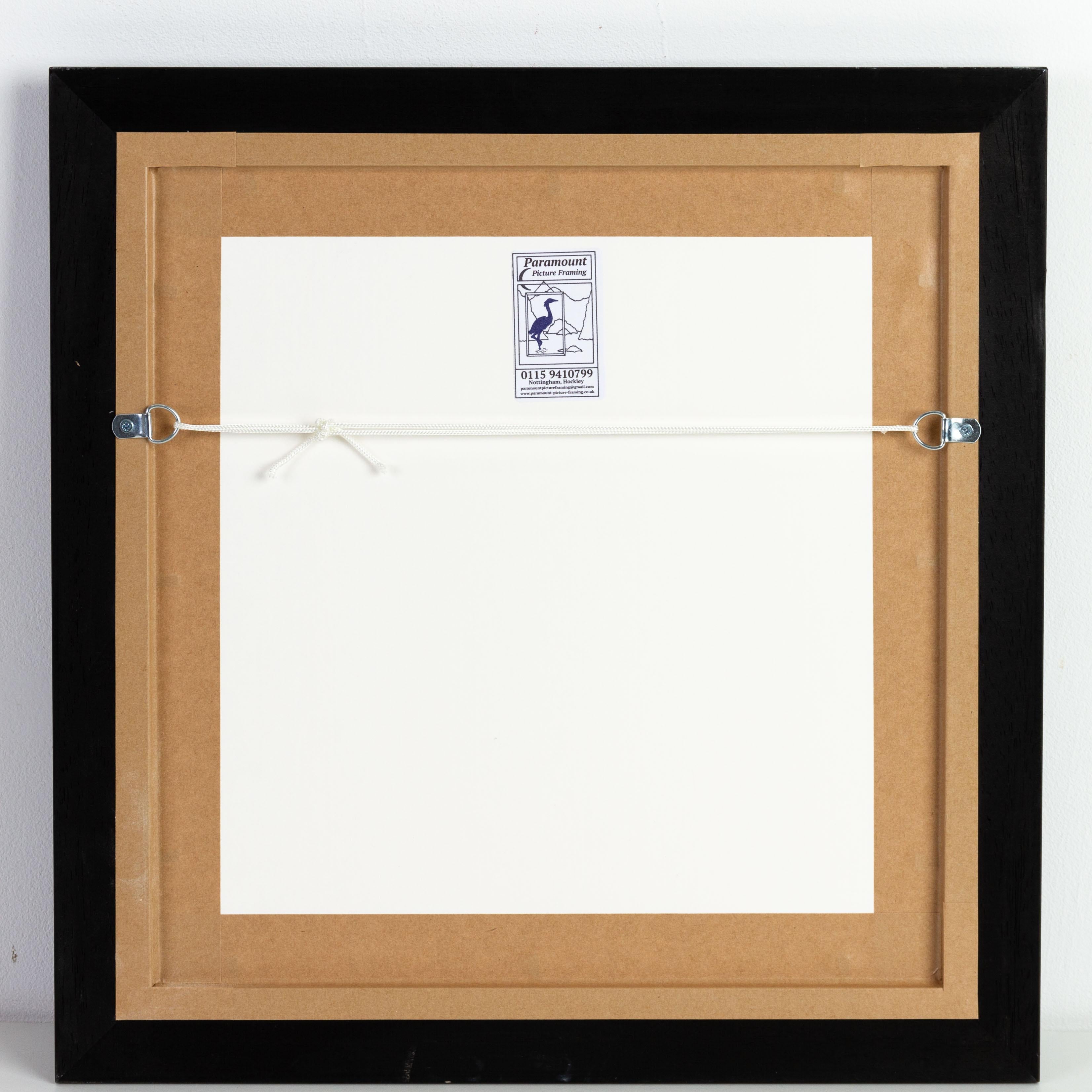 Costellazioni Mappe incise disegnate da W. Newton, pubblicate da Baldwin & Grado in vendita 14