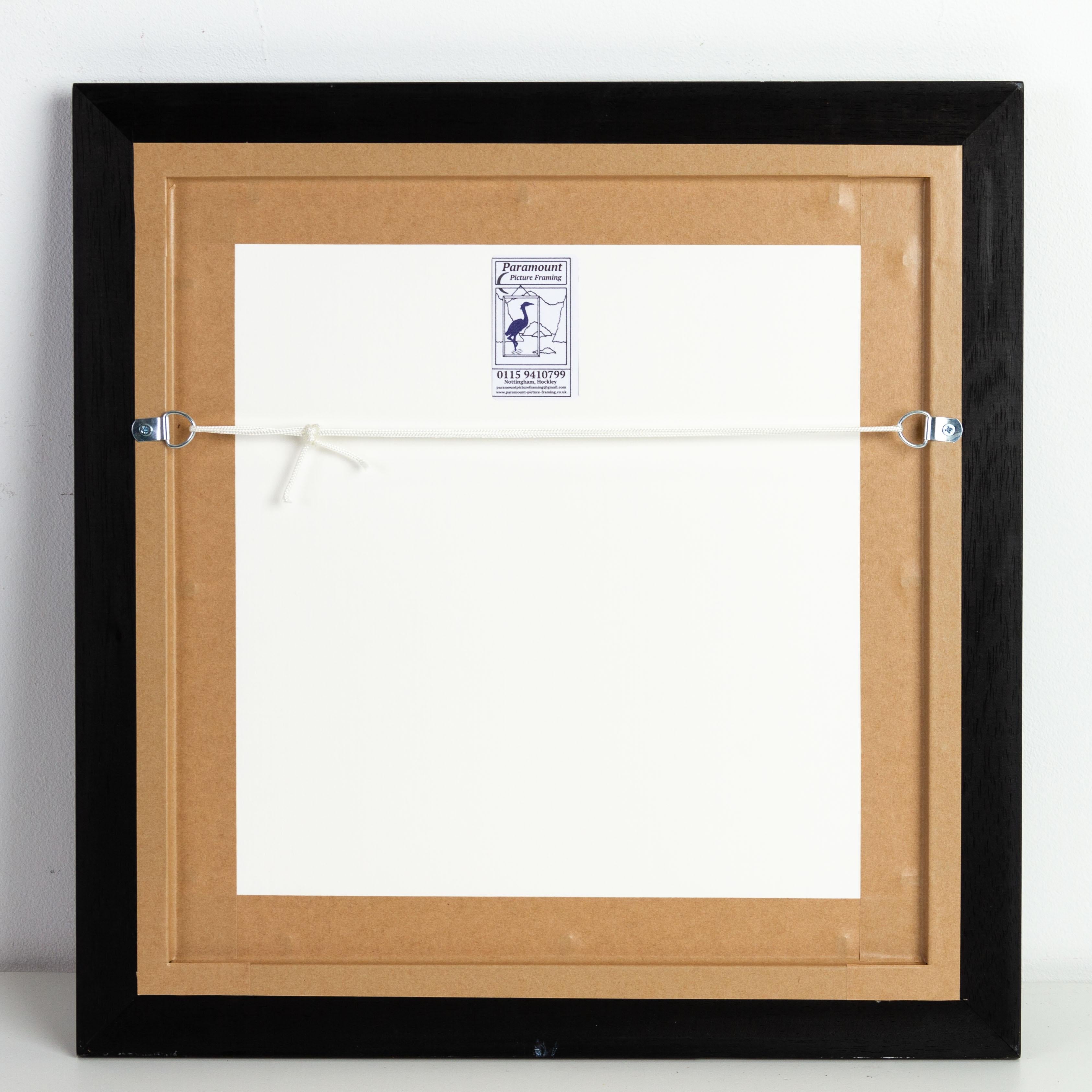 Costellazioni Mappe incise disegnate da W. Newton, pubblicate da Baldwin & Grado in vendita 2