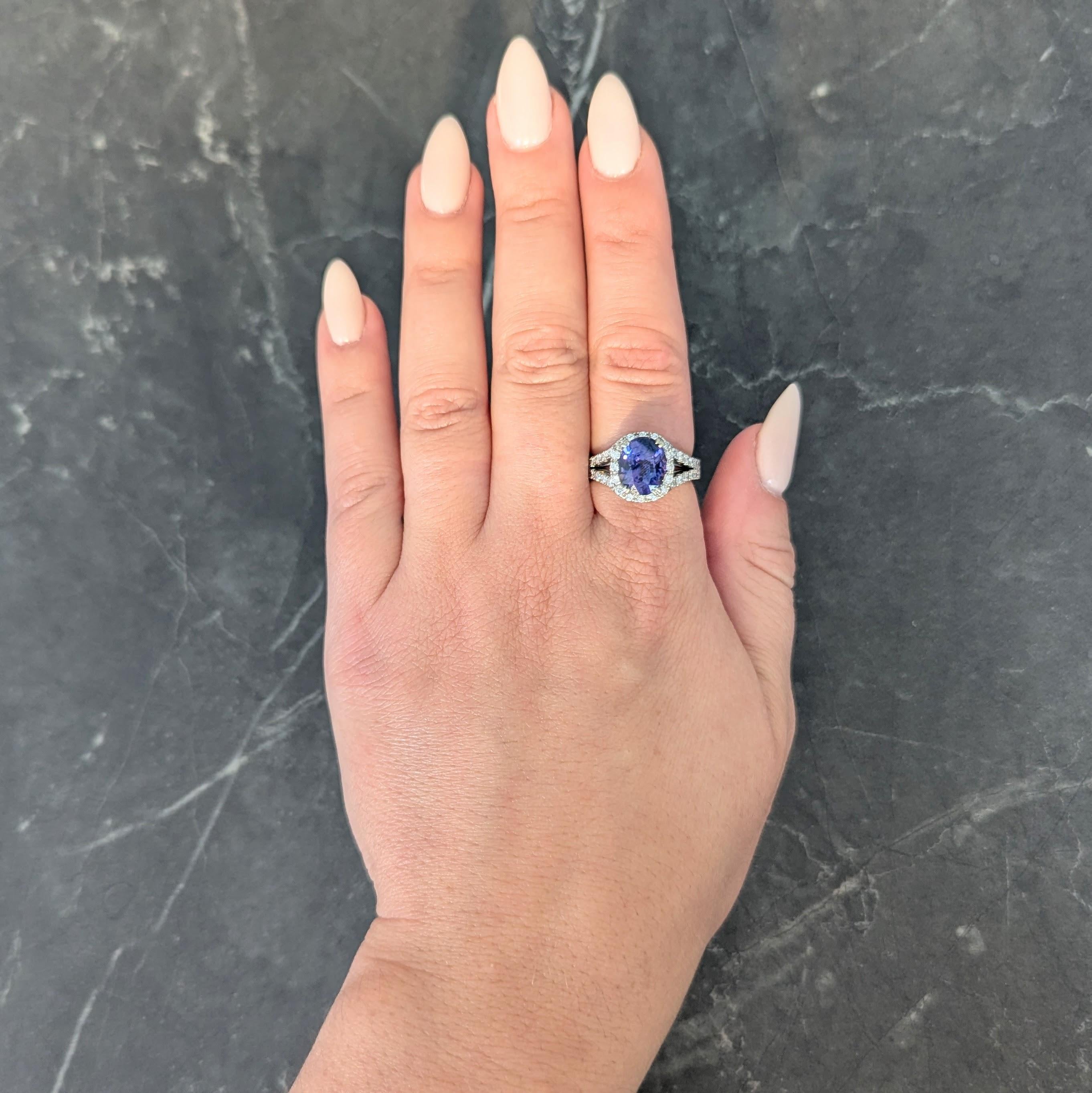 Centering an oval cut sapphire weighing 3.31 carats - displaying color change under incandescent light
Transparent bluish violet to purple and natural Ceylon ( Sri Lankan) in origin
Prong set with a halo surround and split shoulders prong set with