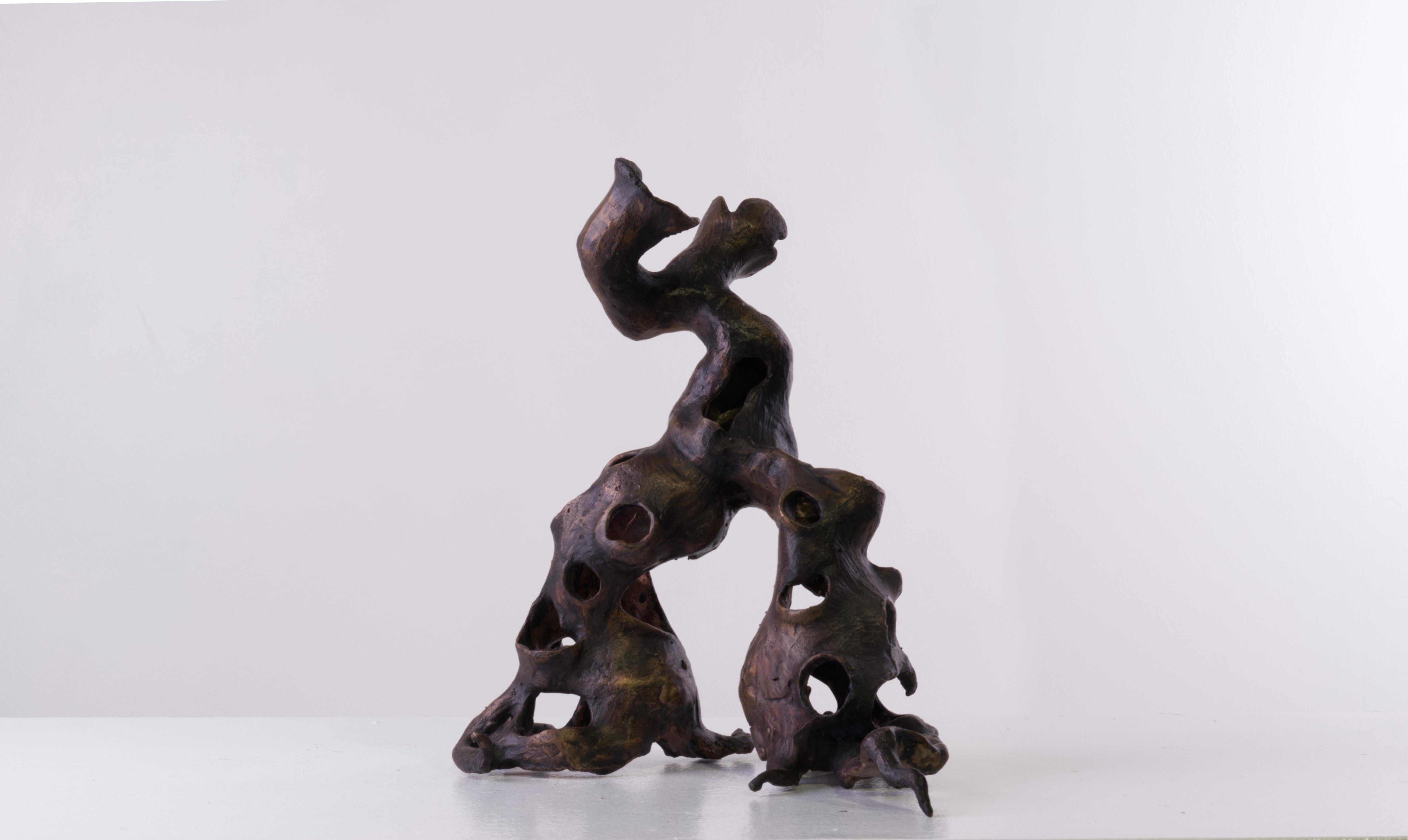 Branching Timelines draws inspiration from the resilience of the natural world, offering a profound metaphor for humanity’s ability to endure and adapt through times of adversity. This sculpture, crafted from cast bronze using the lost wax casting