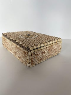 Contemporary American Modern Conch and Cowrie Seashell Jewelry Box