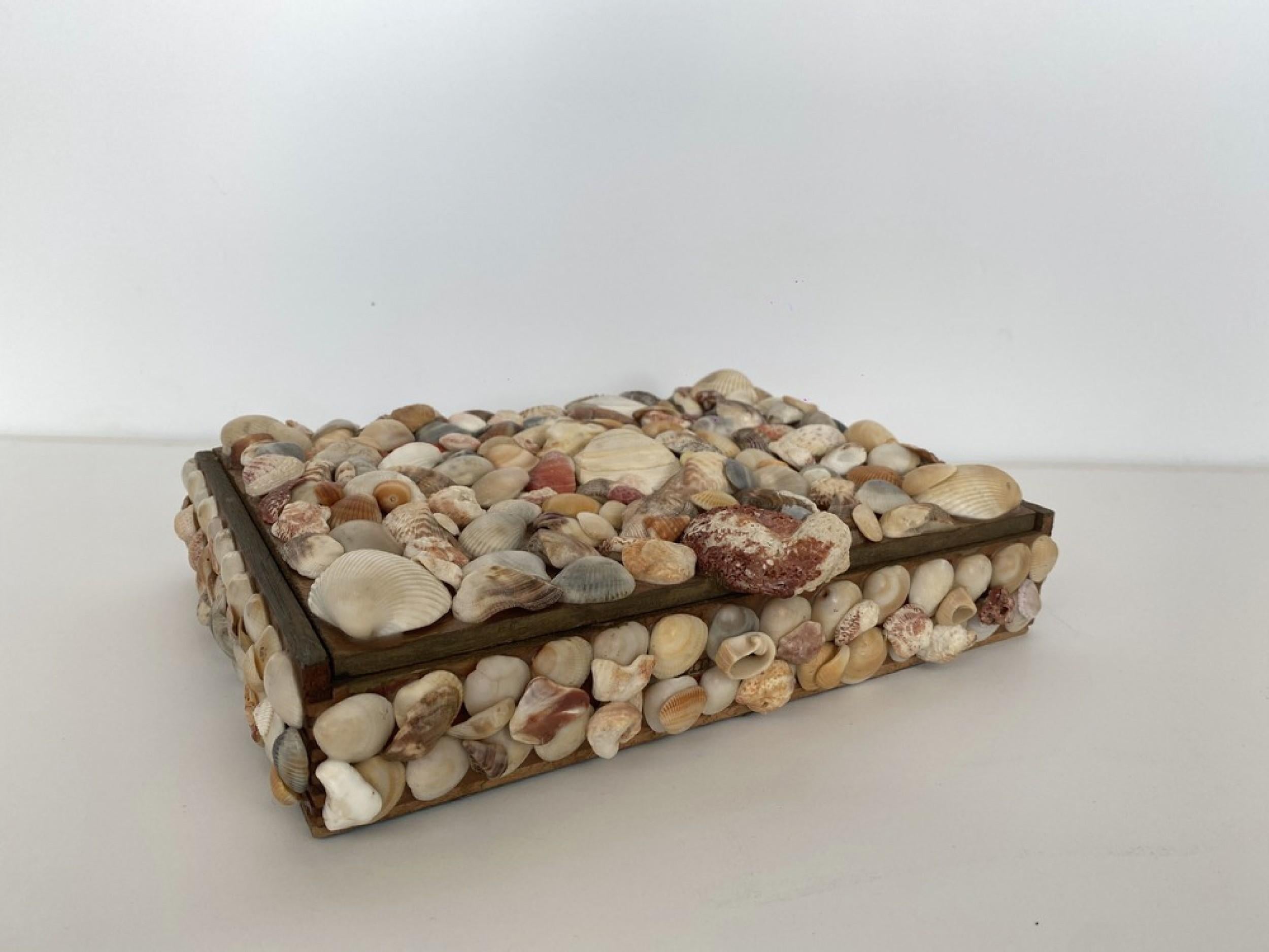Contemporary American Modern Large Seashell Box In Good Condition For Sale In New York, NY