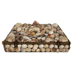 Contemporary American Modern Large Seashell Box