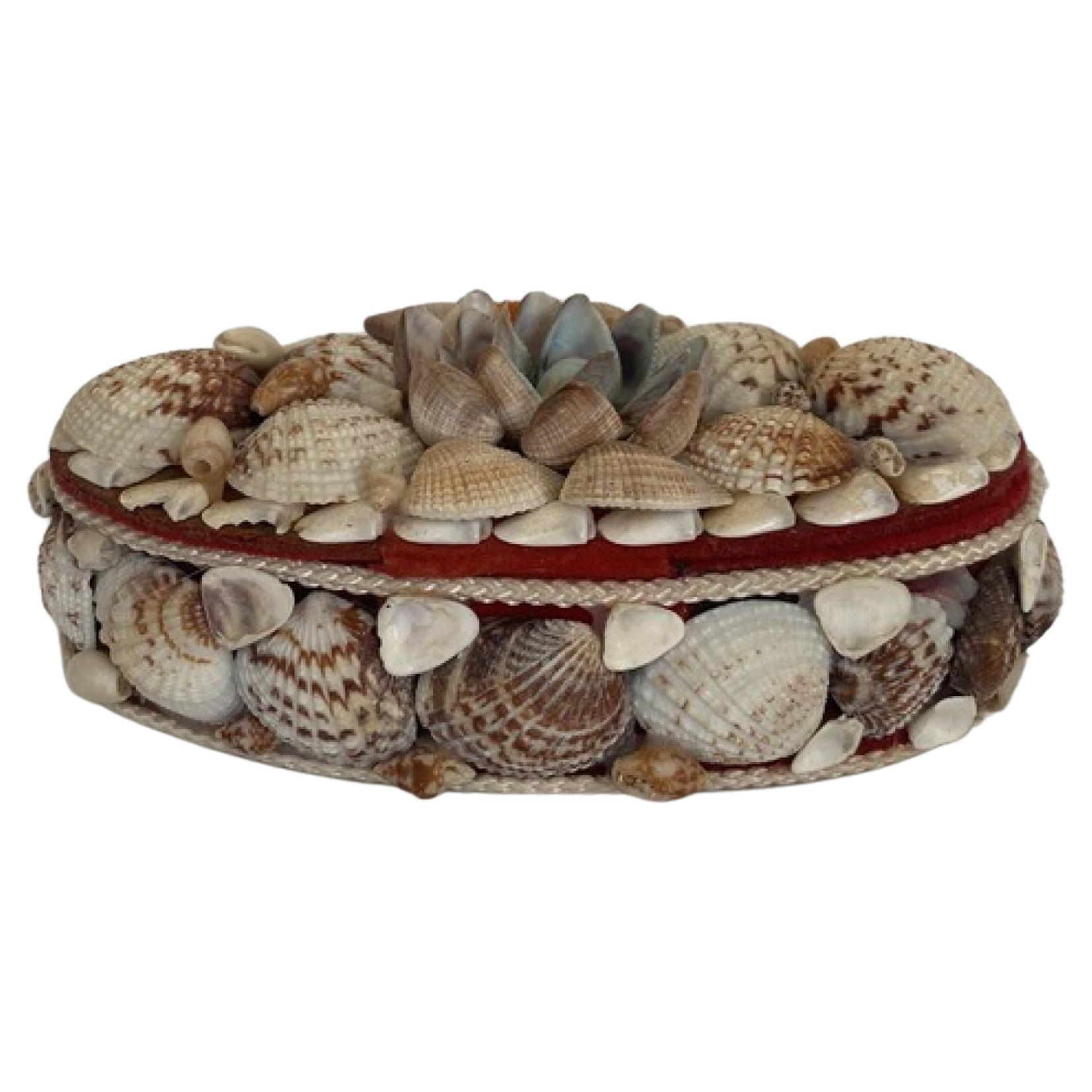 Contemporary American Modern Oval Seashell Jewelry Box For Sale