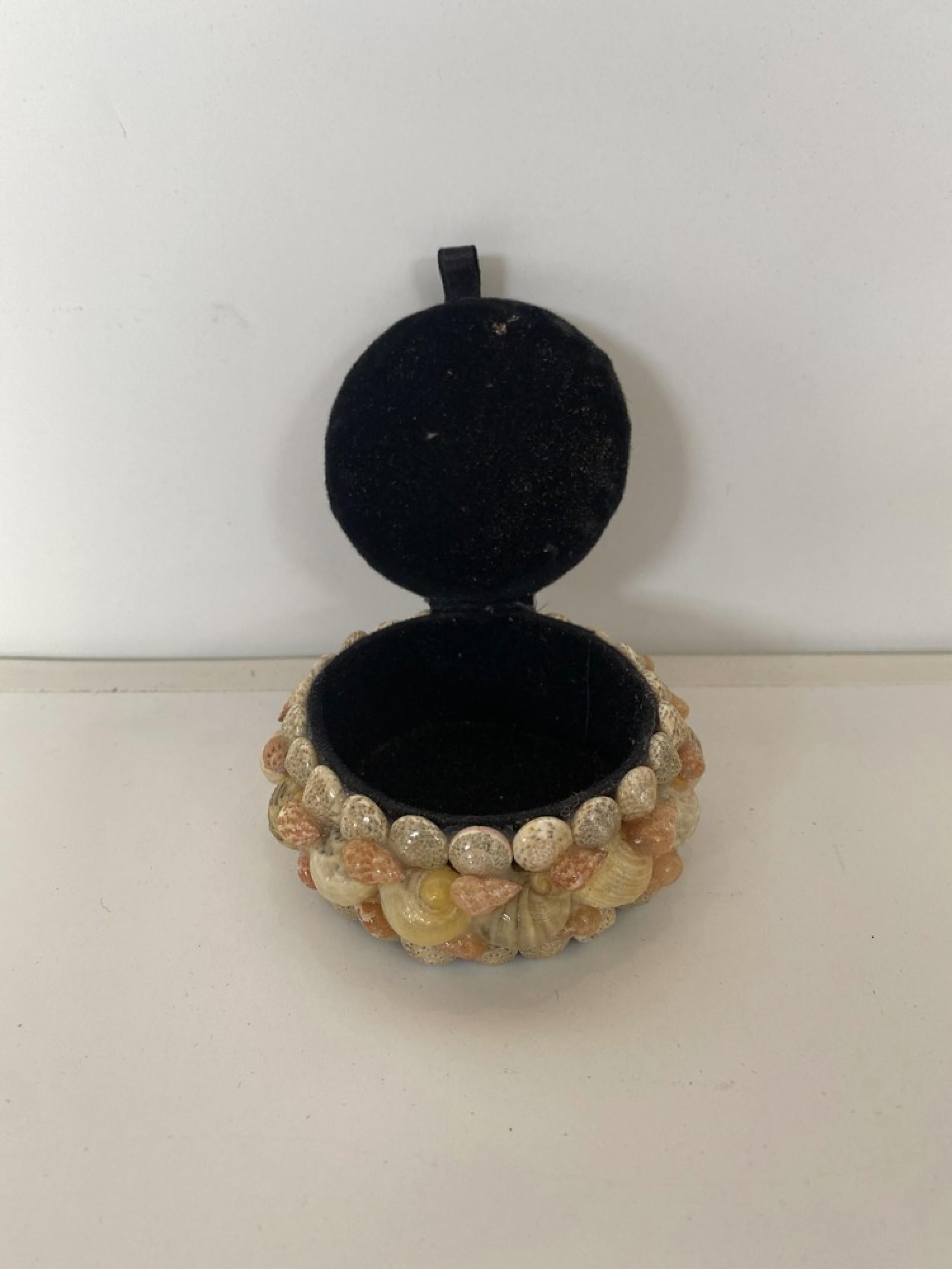 Coral Contemporary American Modern Small Circular Seashell Jewelry Box For Sale