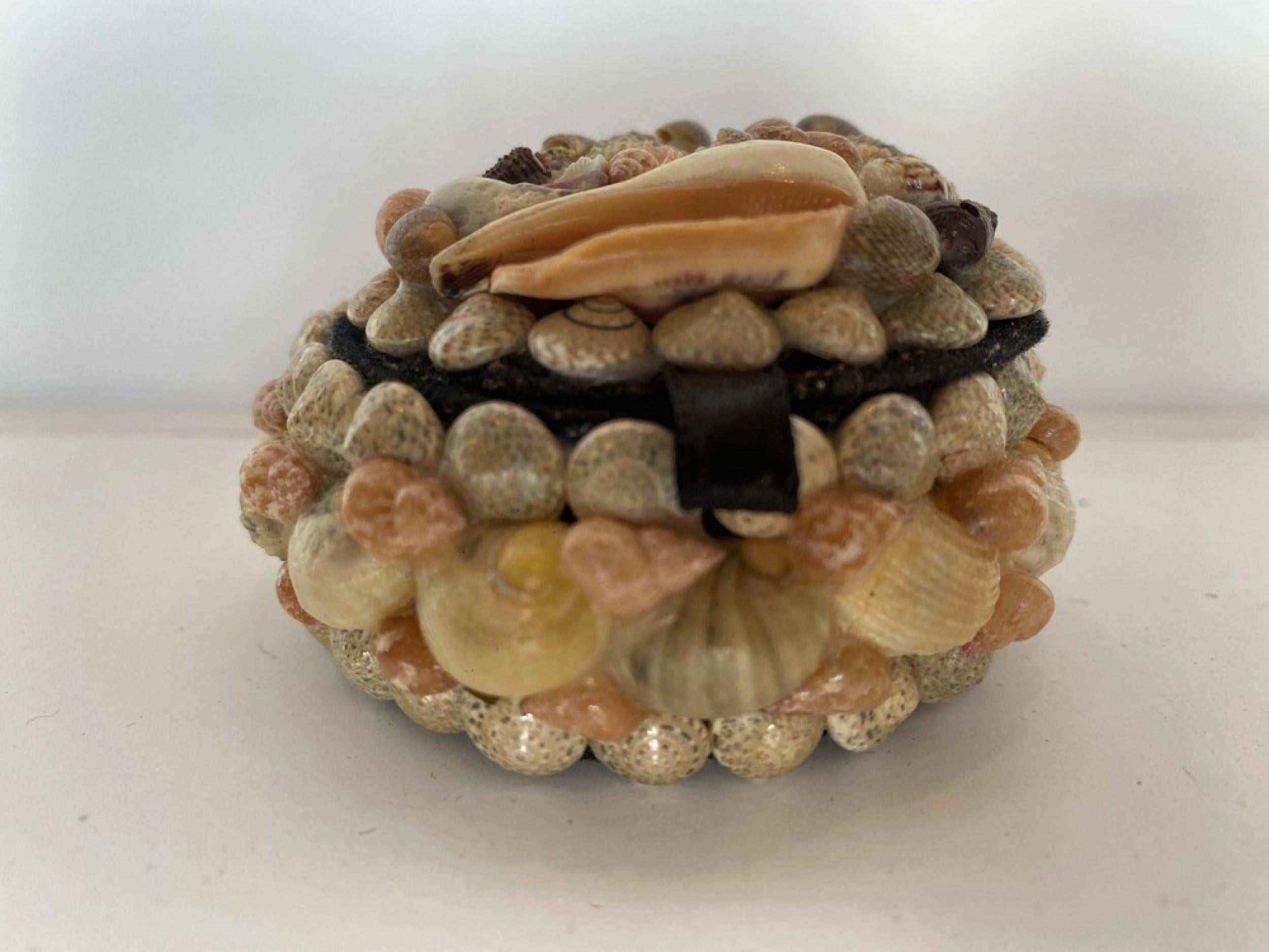 Contemporary American Modern Small Circular Seashell Jewelry Box For Sale 2
