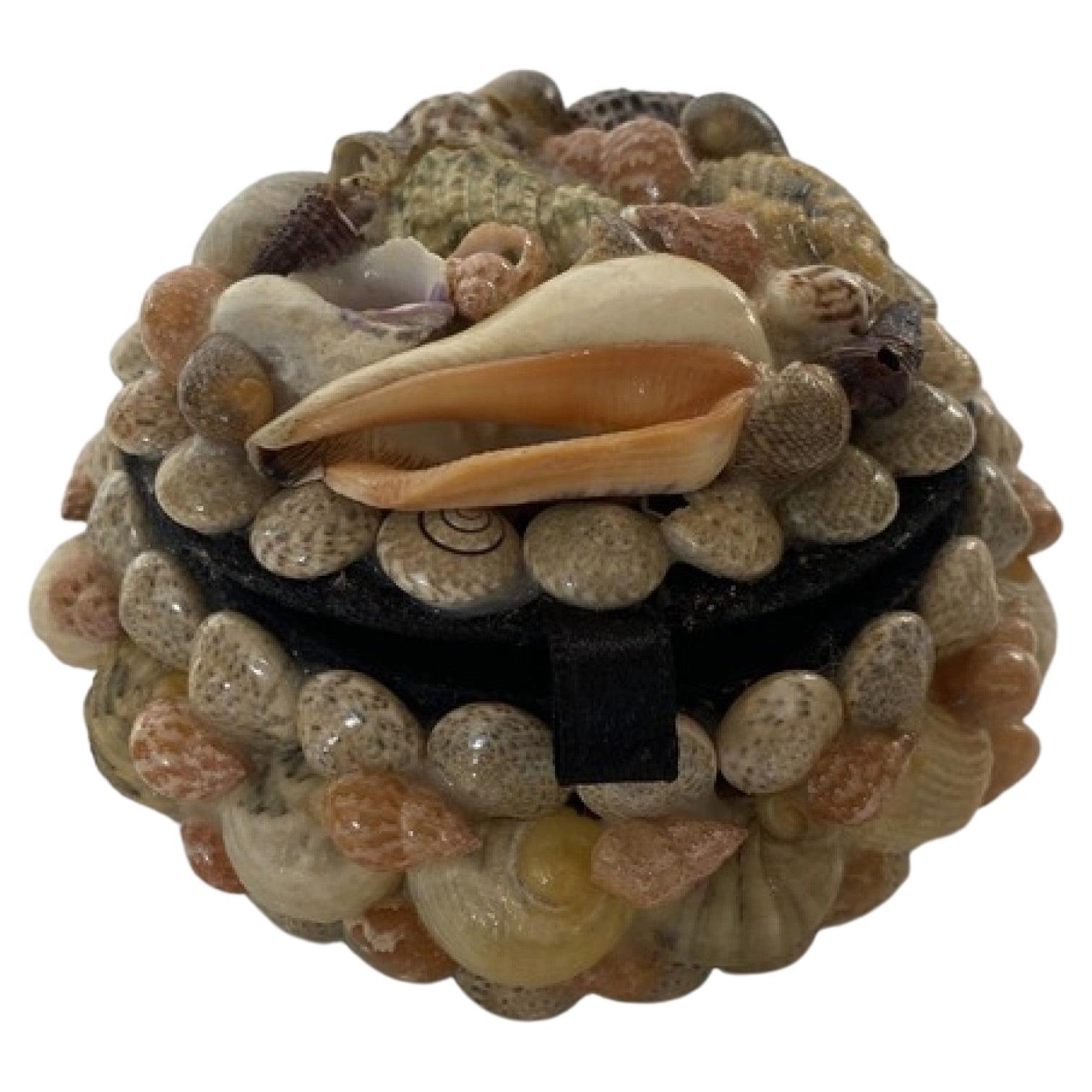 Contemporary American Modern Small Circular Seashell Jewelry Box