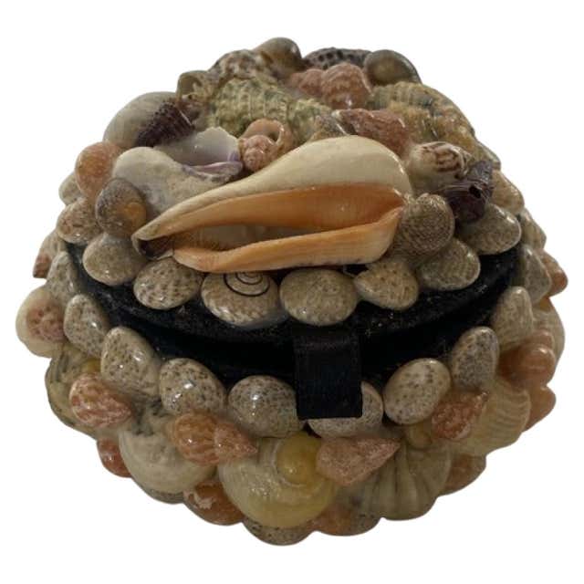 Contemporary American Modern Seashell Music Box / Jewelry Box For Sale ...