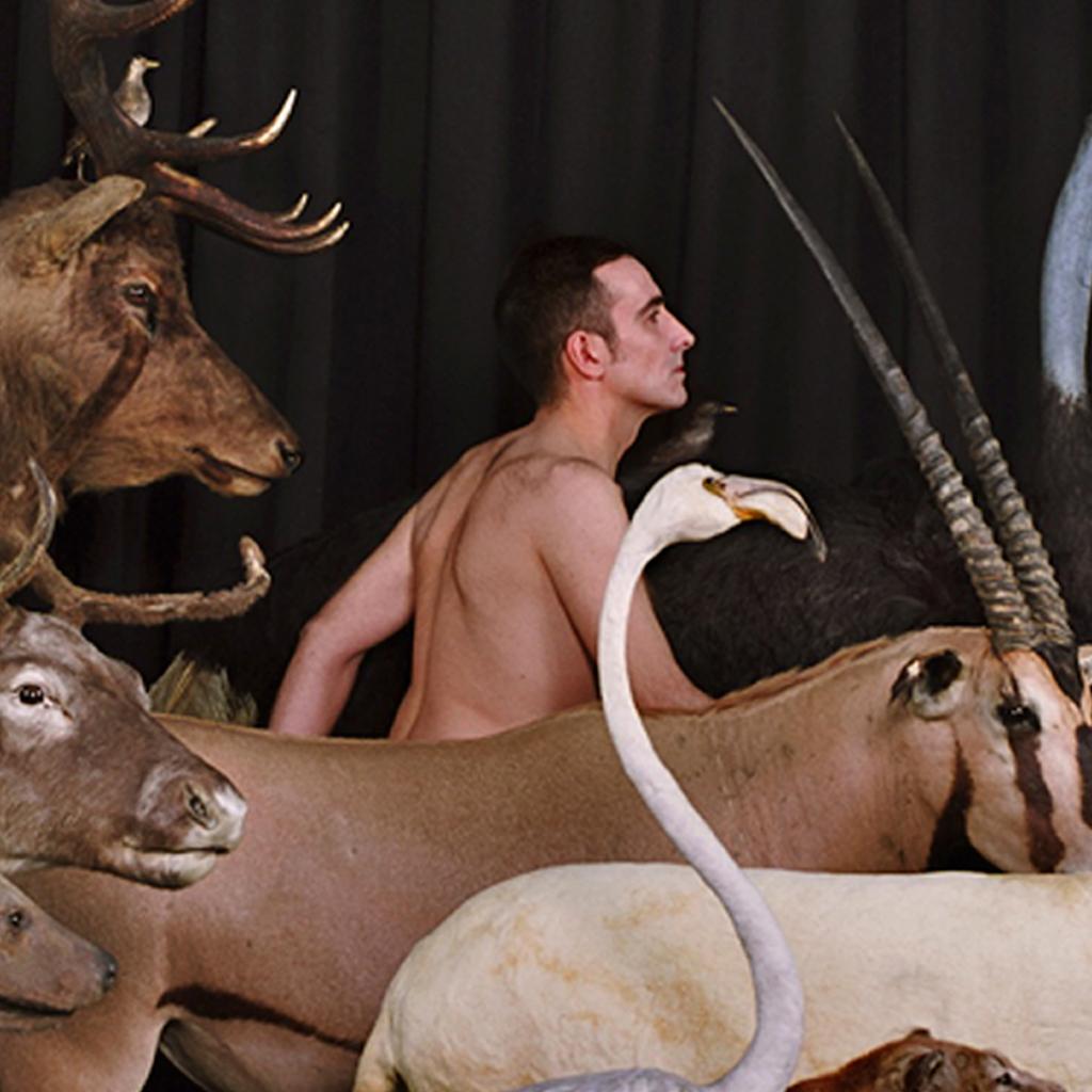 Moderno Animali contemporanei Fotografia Spagnola Eduardo SOURROUILLE in vendita