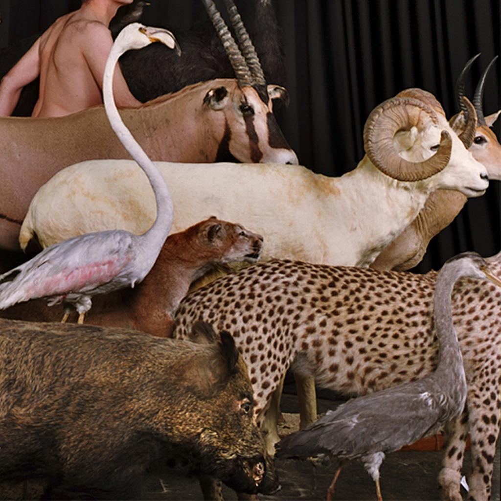 Animali contemporanei Fotografia Spagnola Eduardo SOURROUILLE In condizioni buone in vendita a Madrid, ES