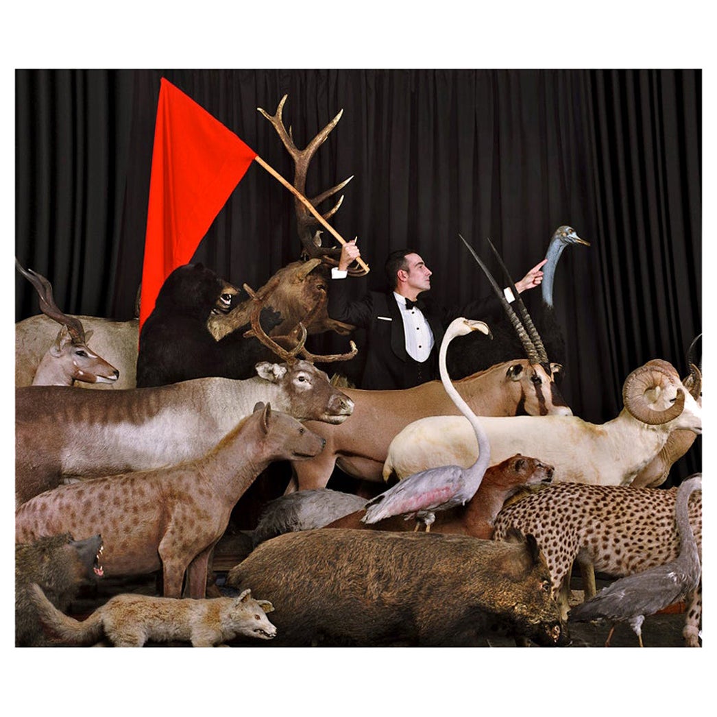 Animaux Contemporary Photography Spanish Eduardo Sourrouille