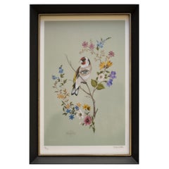 Contemporary Art, Goldfinch, Sighted Digital Print , by Rubenimichi, Sapin, 2020