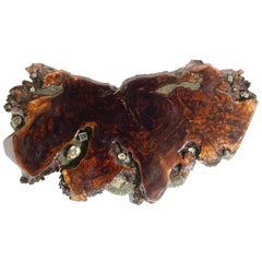 Claro Walnut Wood Shelf with Crystal Gemstone Inlays Labradorite by Danna Weiss