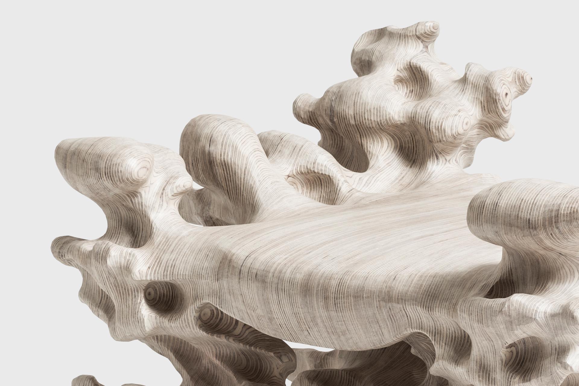 Contemporary Artisanal Hocker aus einfachem Holz, von Tadeas Podracky, Organic Shapes im Angebot 3
