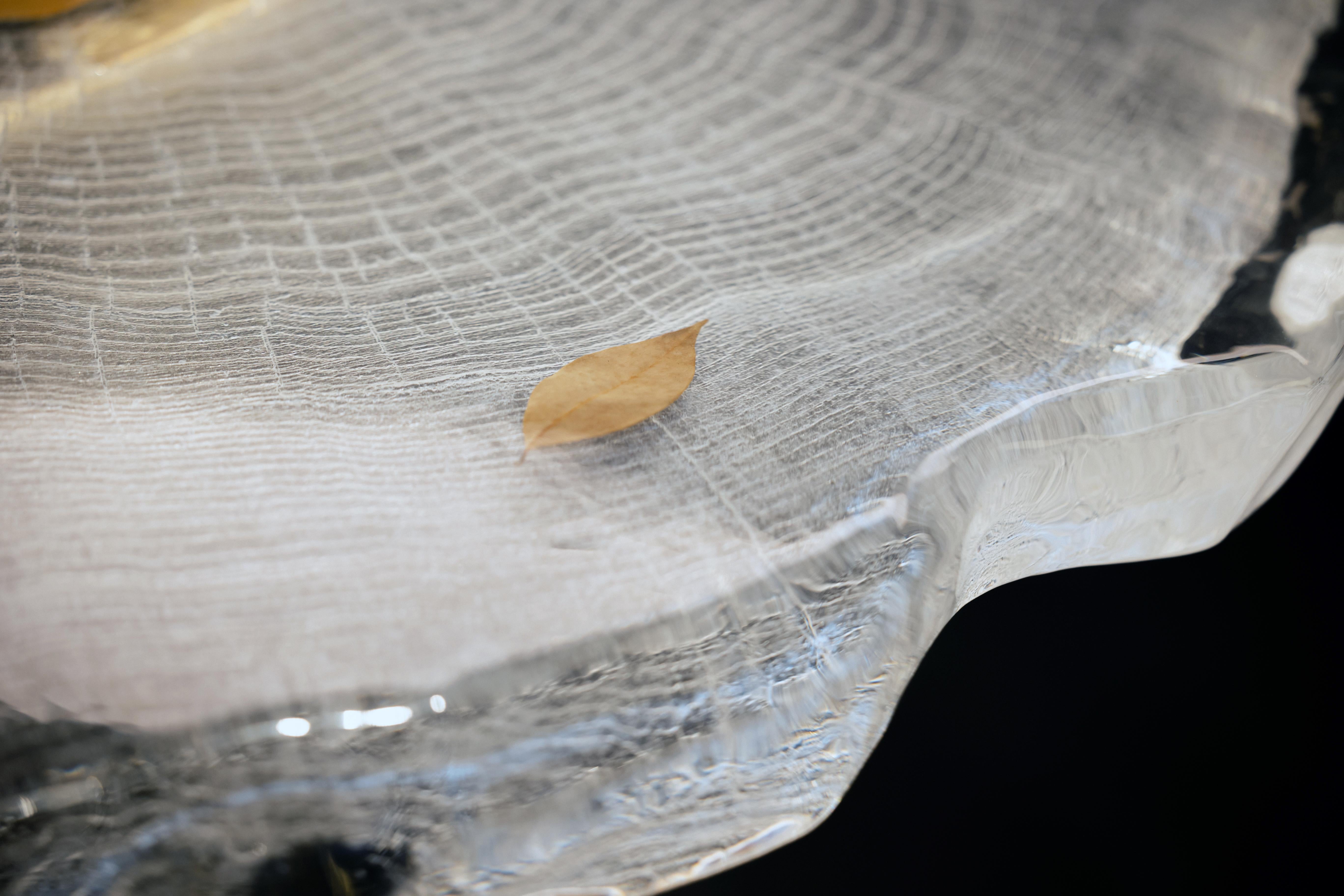 Brass Tree Grain Round Table by GORDON GU For Sale