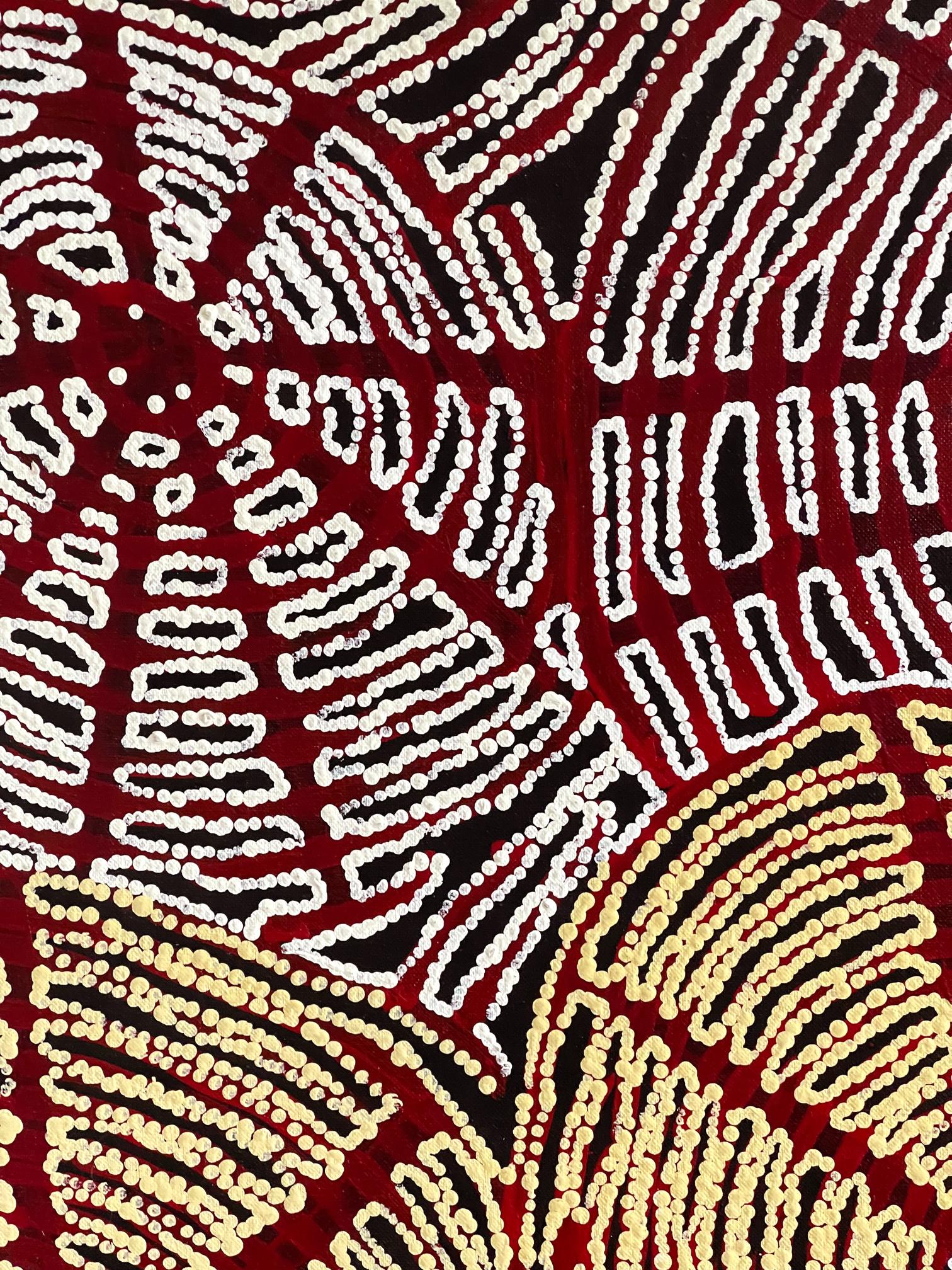Zeitgenössisches Gemälde der australischen Ureinwohner Nord- und Südamerikas von Walangkura Napanangka im Angebot 4
